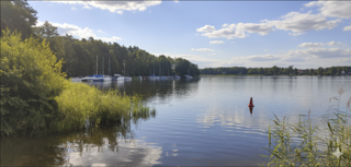 Case Study: Vacation Mode – Inwestowanie na Autopilocie